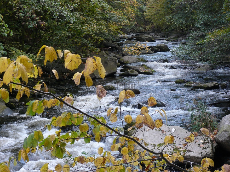 水,秋天的顏色,山間溪流