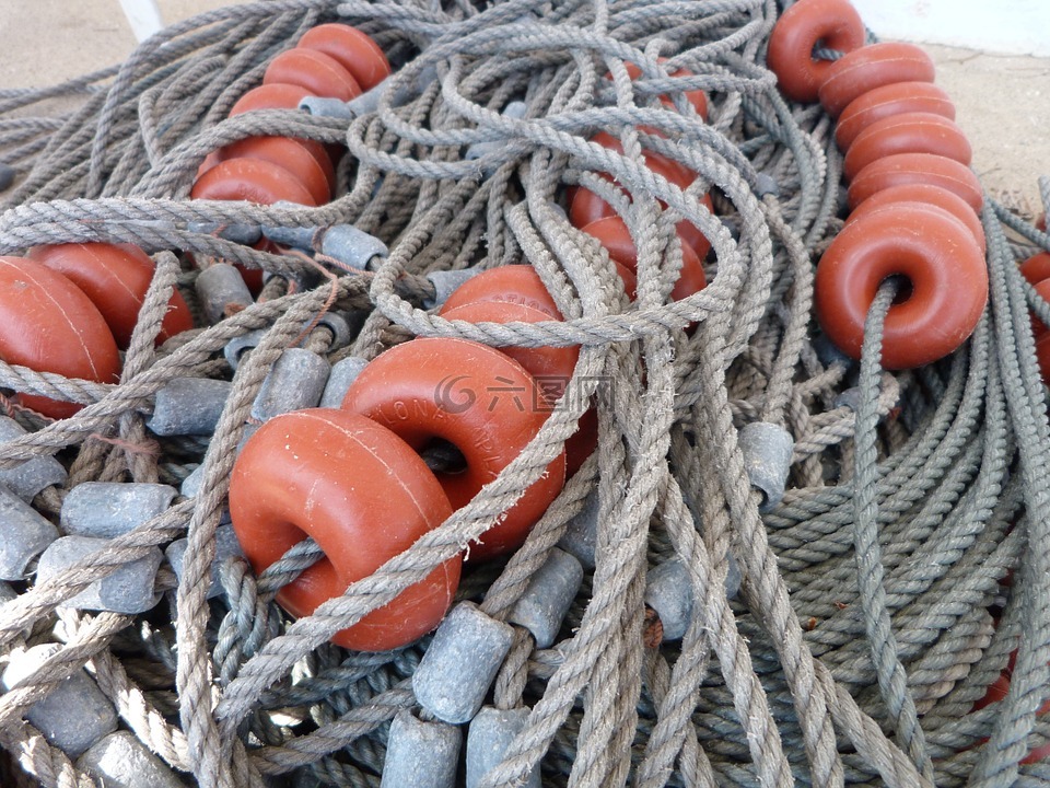 魚(yú)網(wǎng),端口,捕魚(yú)網(wǎng)