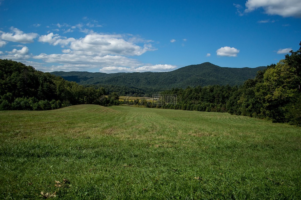 公園,山,自然