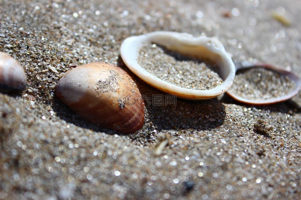 海灘,炮彈,海
