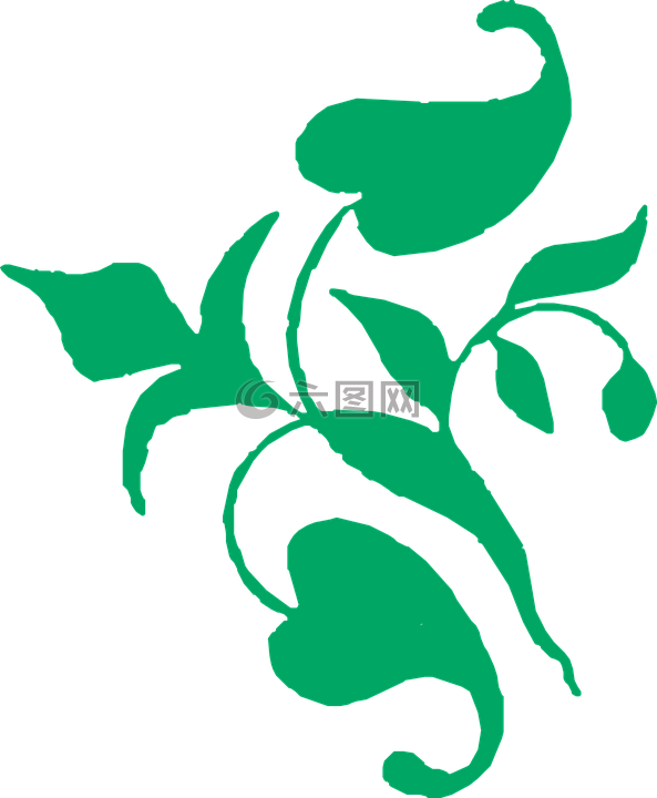藤,裝修,綠色