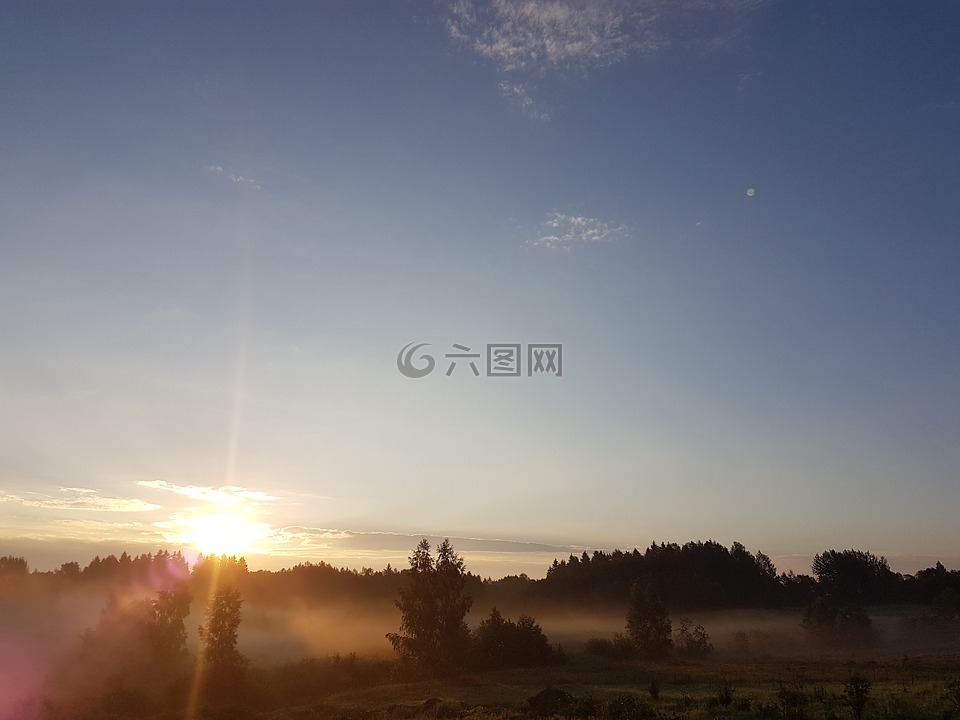 自然,上午,陽(yáng)光