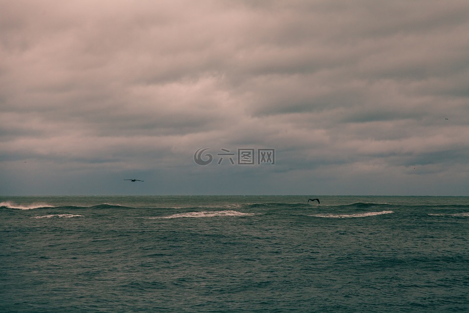 海,海洋,水