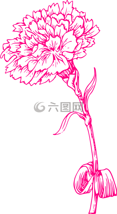 花,打印,粉紅色