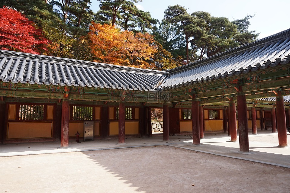 佛國(guó)寺,賽車(chē),大韓民國(guó)