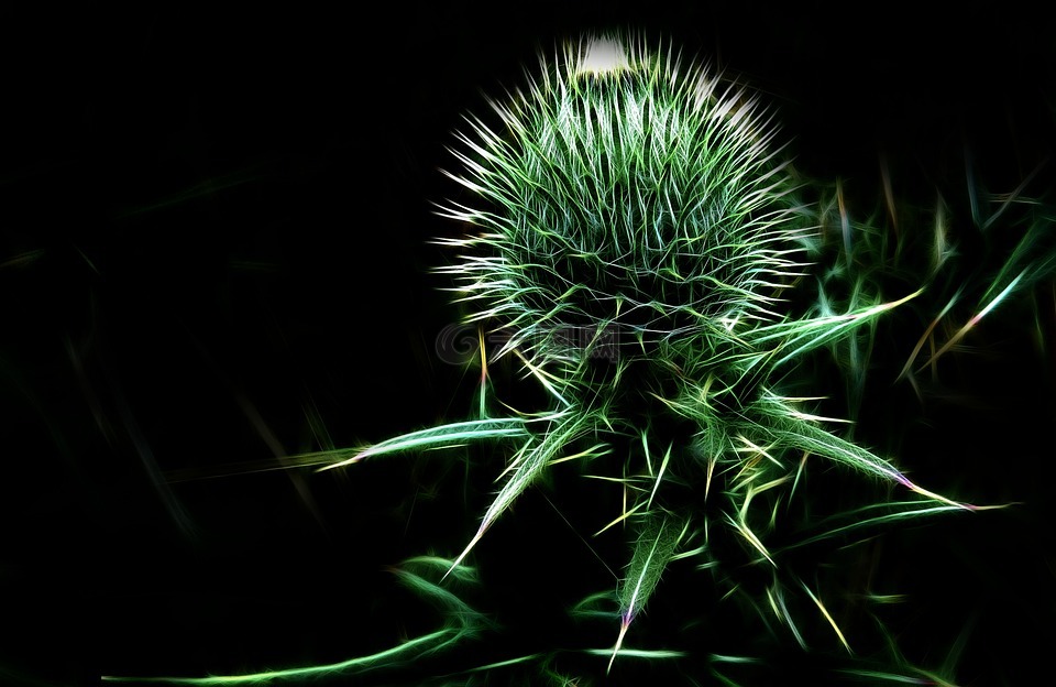fractalius,薊,廠