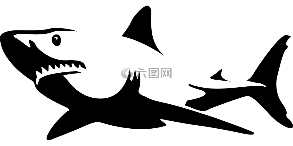 鯊魚(yú),顎,海