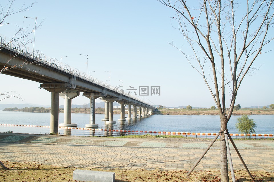 立交橋,河邊,河