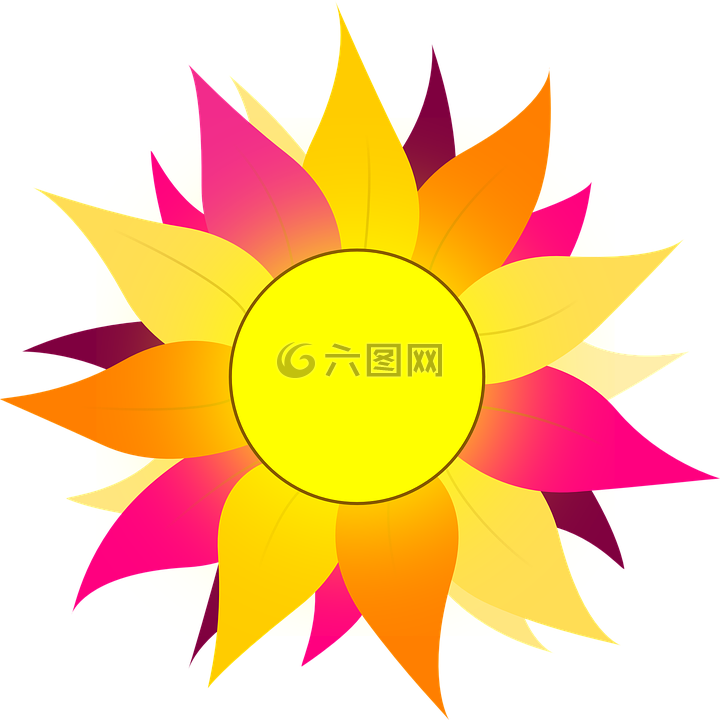 太阳,花,橙色