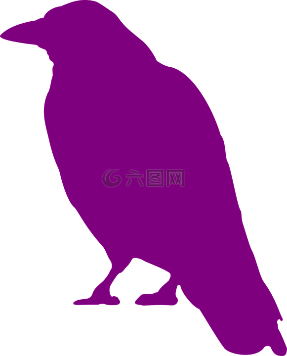 烏鴉,鳥,坐