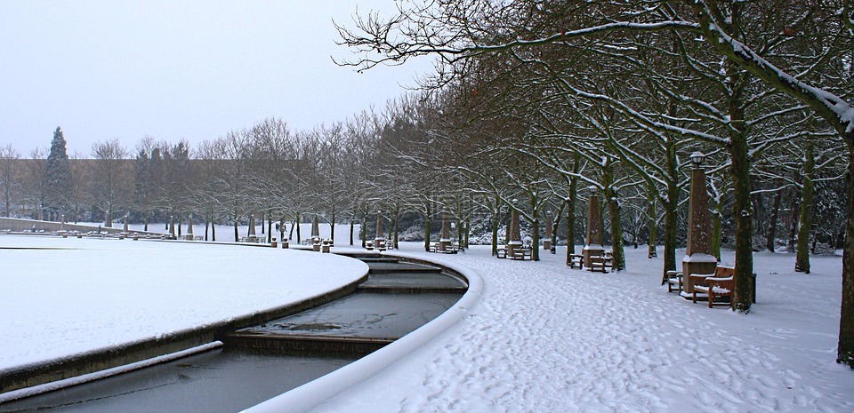 雪,城市公園,城市