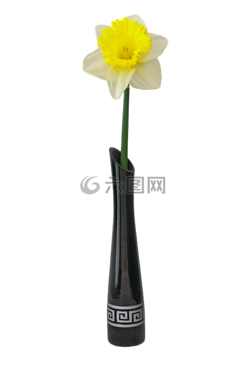 花瓶,陶瓷,花卉