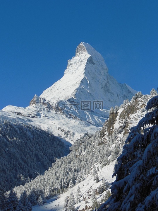 高山,山,雪
