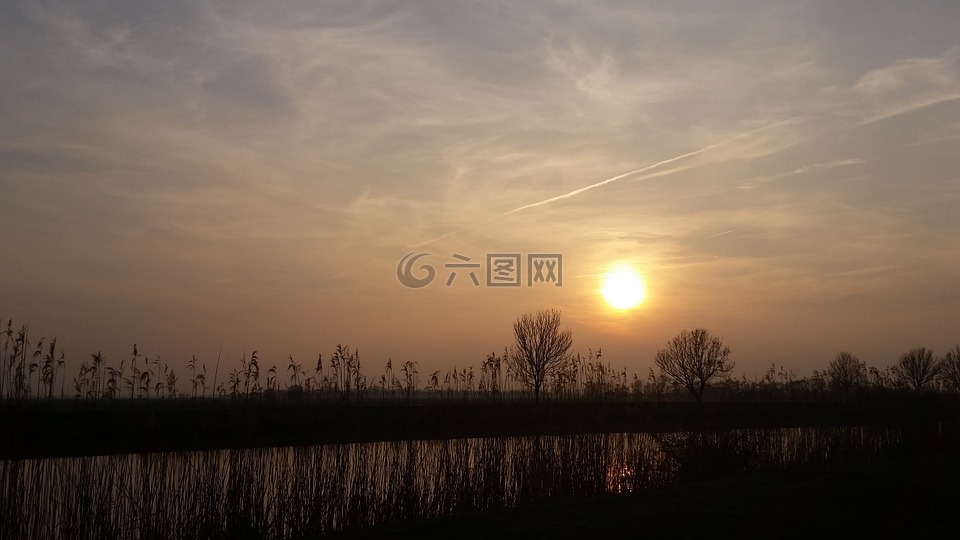 晚上,日落,景觀