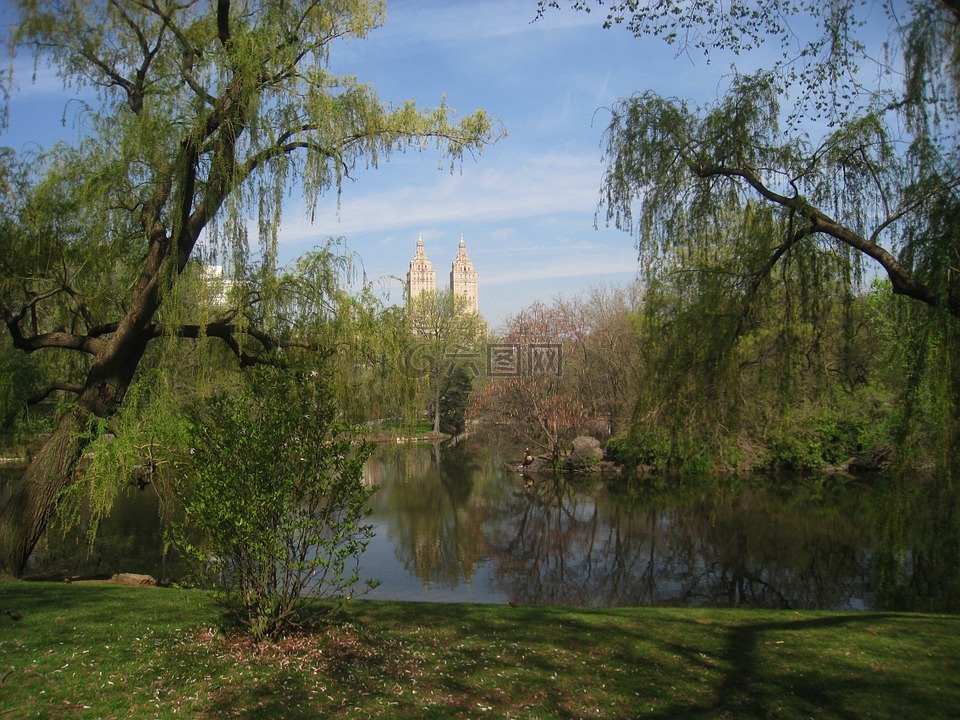 中央,公園,紐約