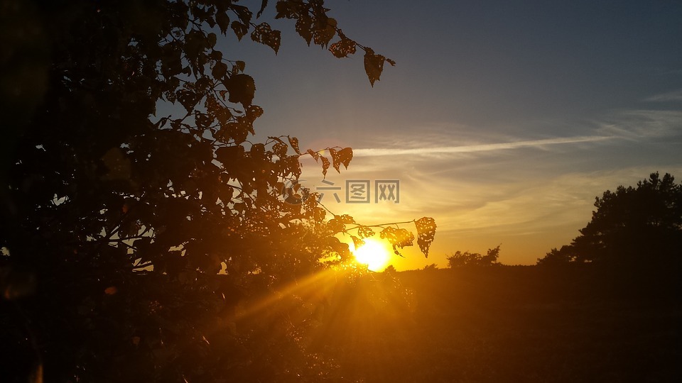 日落,太陽,天空