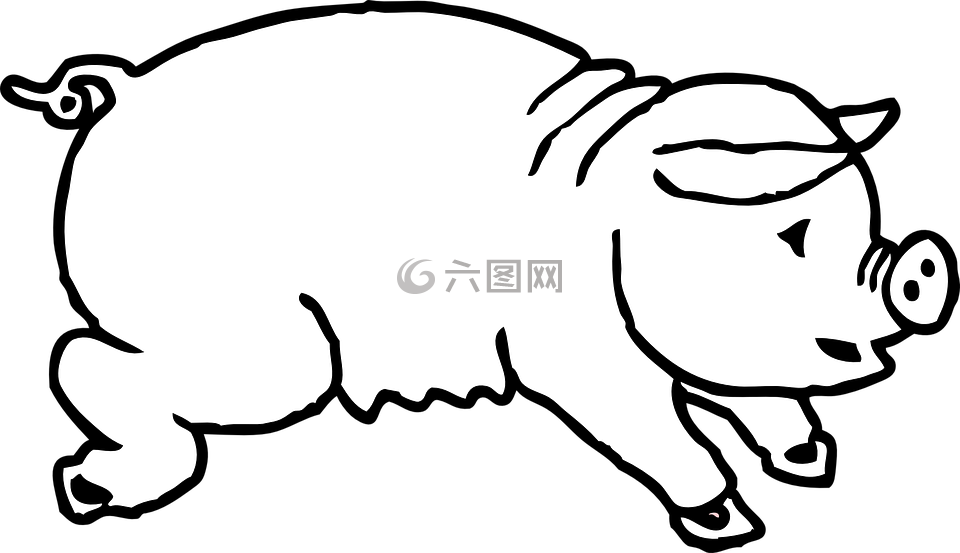 豬,跳躍,動物