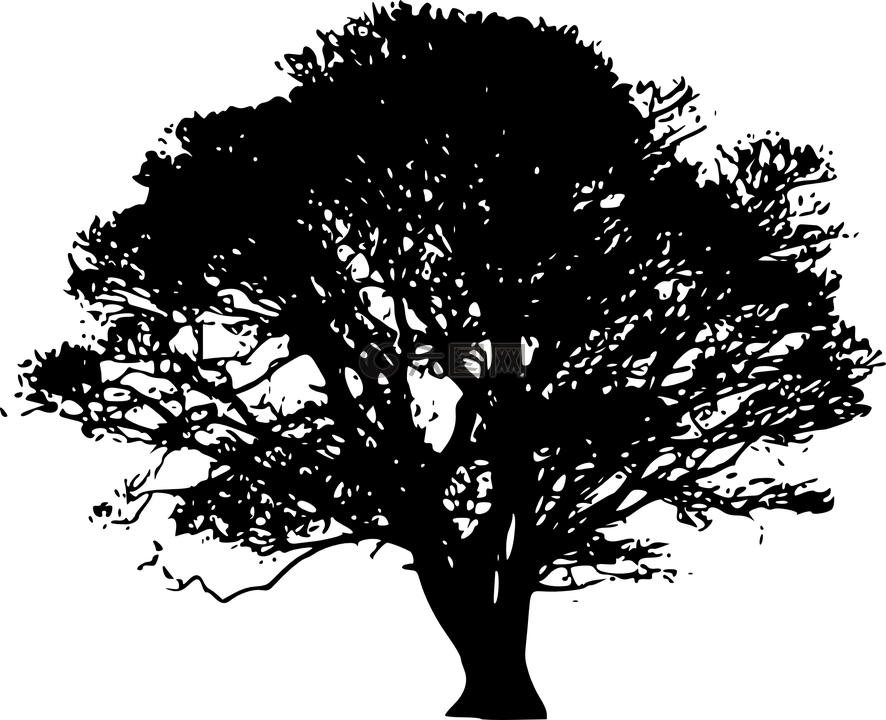 樹,葉子,環(huán)境