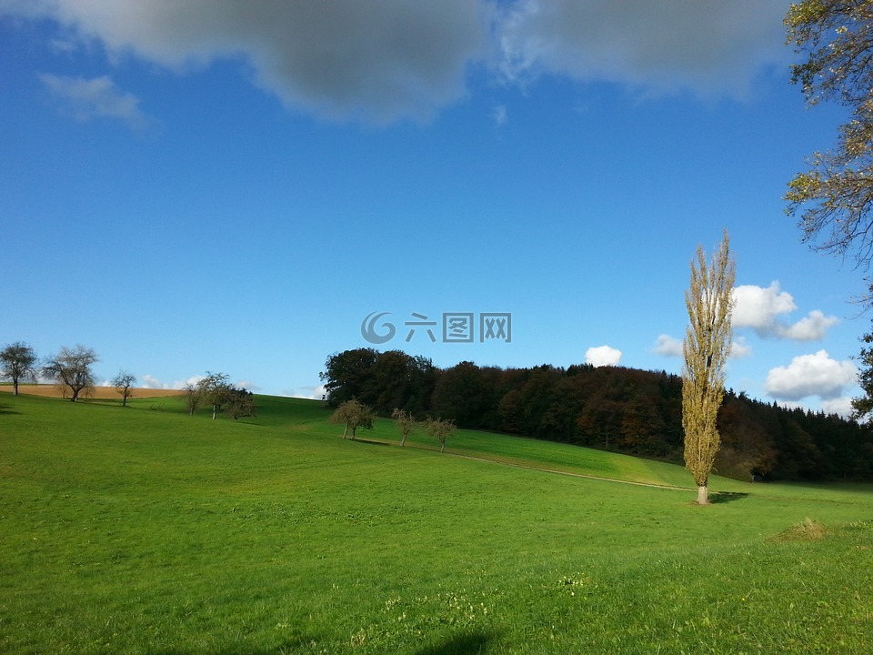 enz,性質(zhì),wurmberg