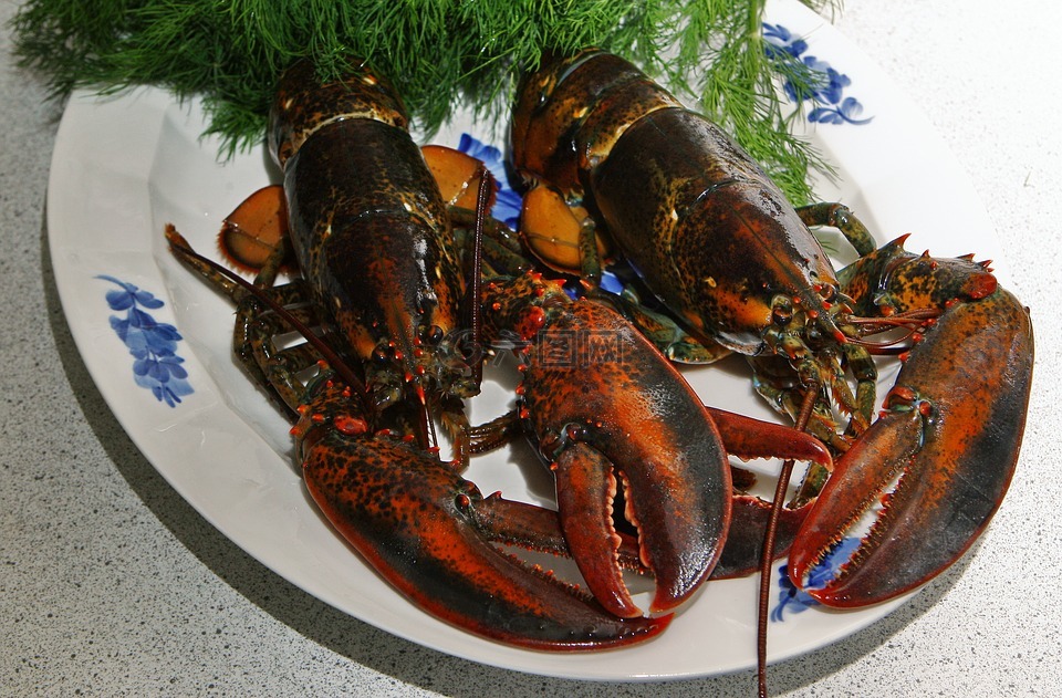 龍蝦,丹麥龍蝦,里姆喬德龍蝦