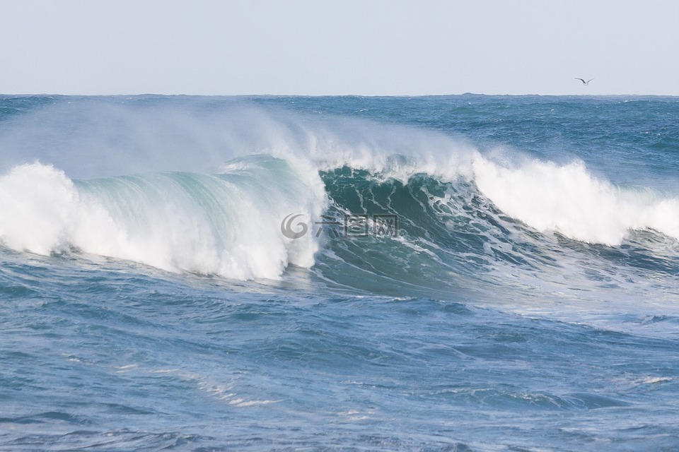 海洋,洪水,海