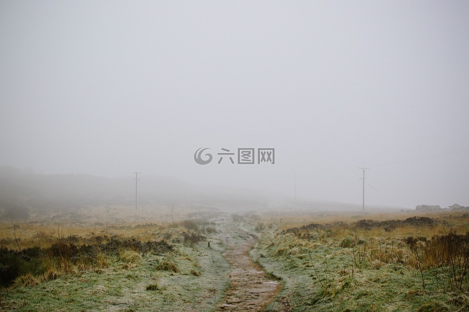 自然,景觀,道路