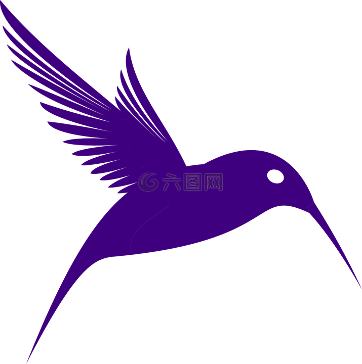 蜂鳥,側(cè)影,飛行