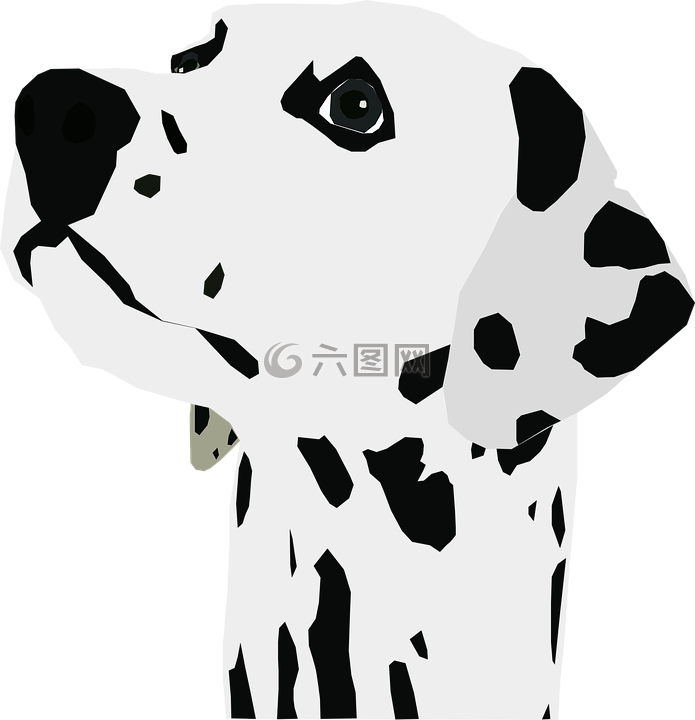 dalmatian,狗,尋找