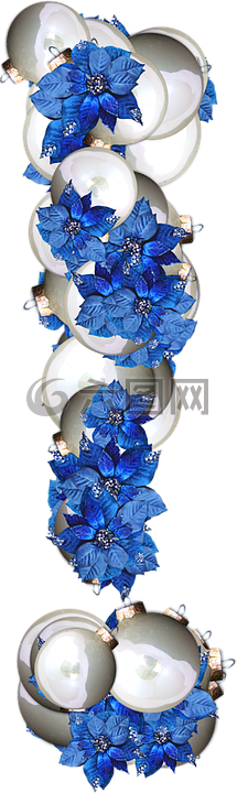 一品紅,碗,圣誕節(jié)