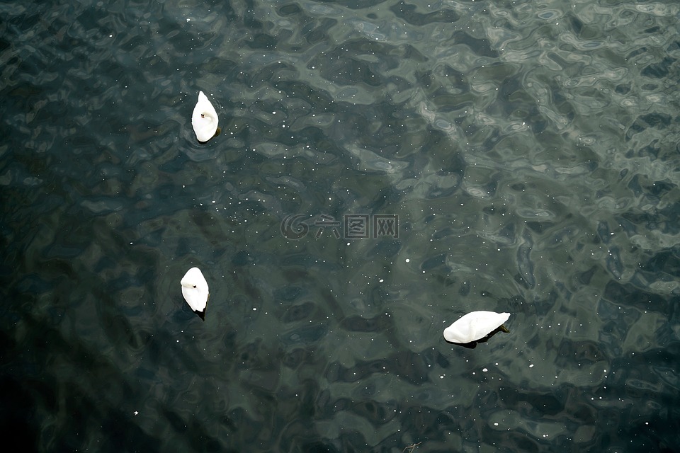 海,河,湖
