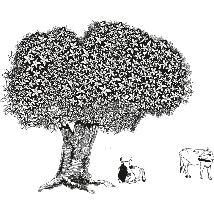 樹,落葉樹,鮮花
