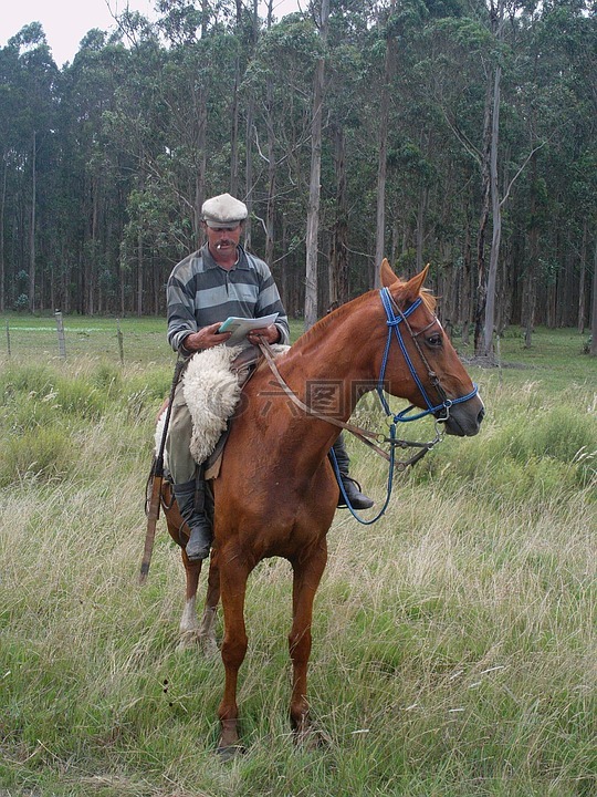 arriero,烏拉圭,paisano