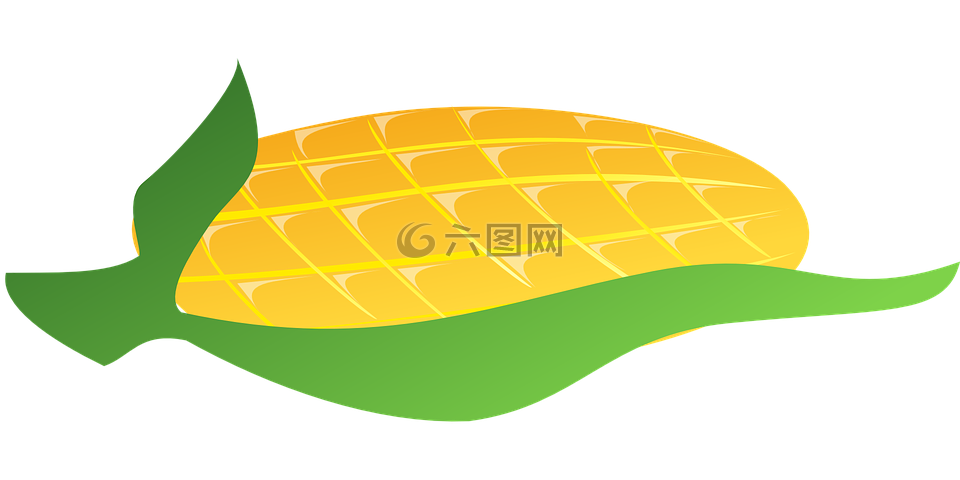 玉米,蔬菜,食品