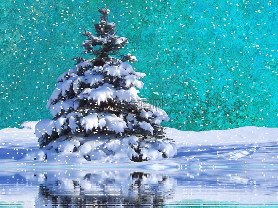 雪,降雪,冬天