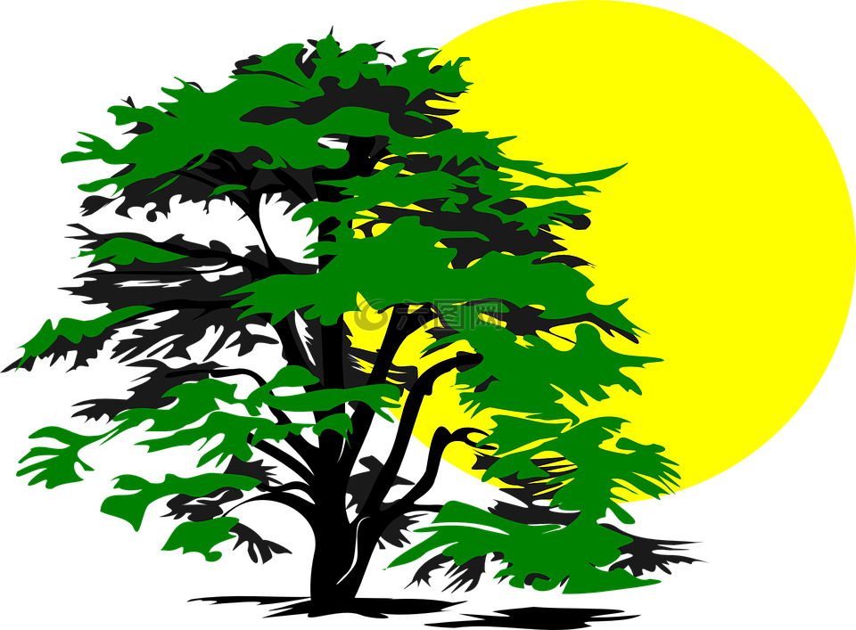 樹,太陽,發(fā)光