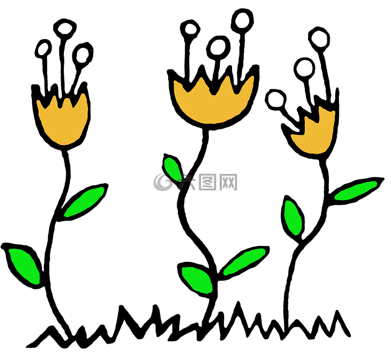 橙,花,花卉