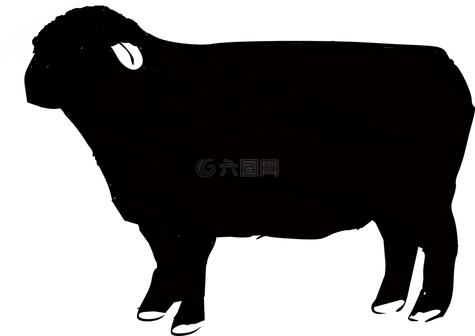 羊,動物,農(nóng)場