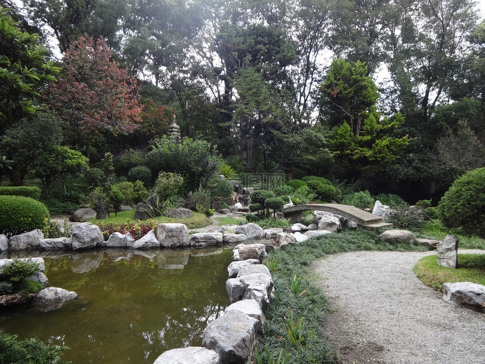 花園,日語,池塘
