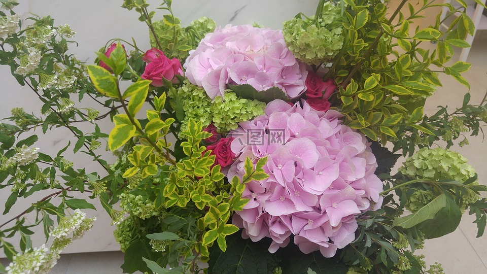 繡球花,花道,花畫的花瓶