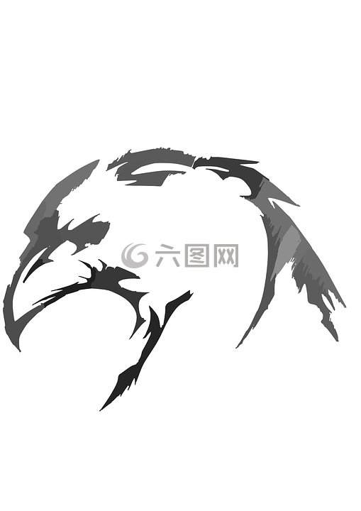 鳥,頭,羽毛