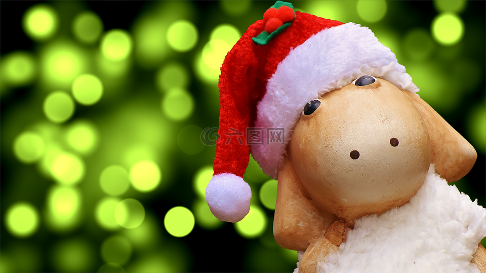 圣誕節,羊,德卡