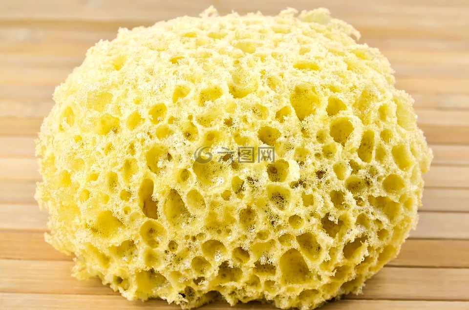 海綿清洗,海綿,清洗