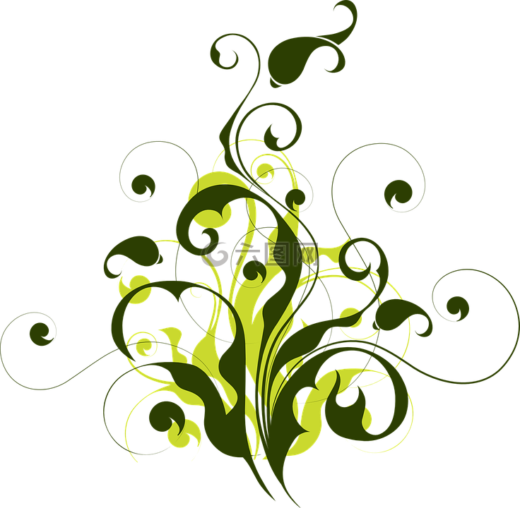 植物群,抽象,花絲