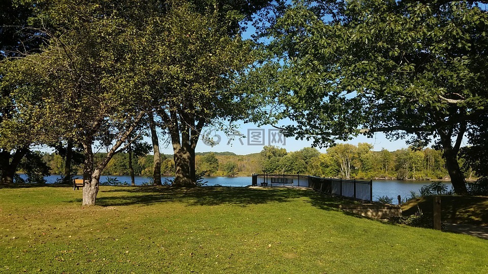 公園,春,夏天