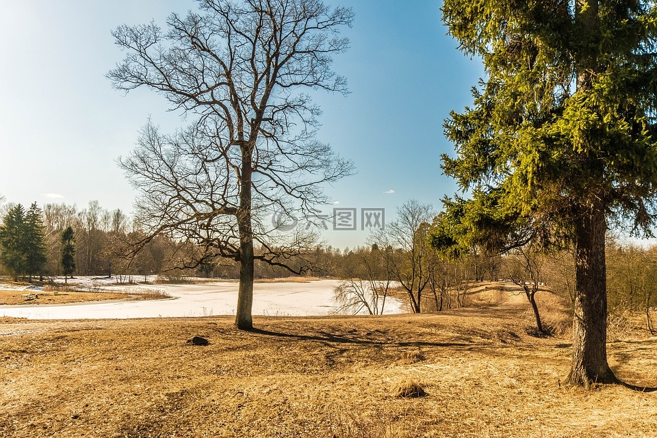 春天,加特契納,美容