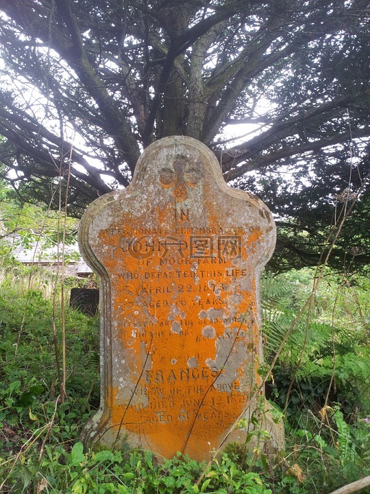 墓碑,墳?zāi)?公墓