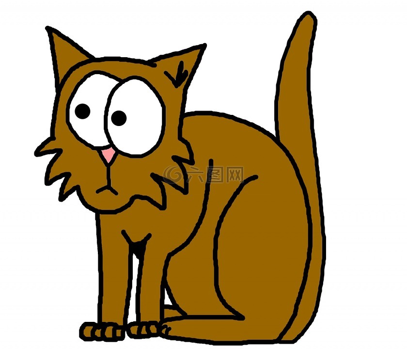 棕色,猫,小猫