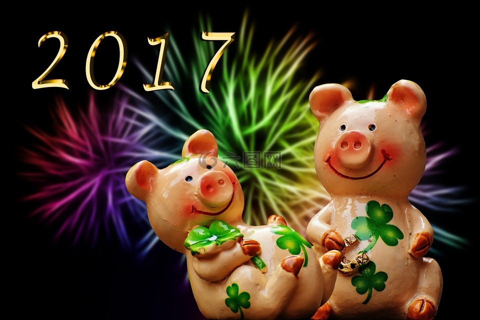 運(yùn)氣,仔豬,幸運(yùn)豬