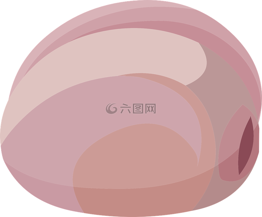 紫色,外殼,石