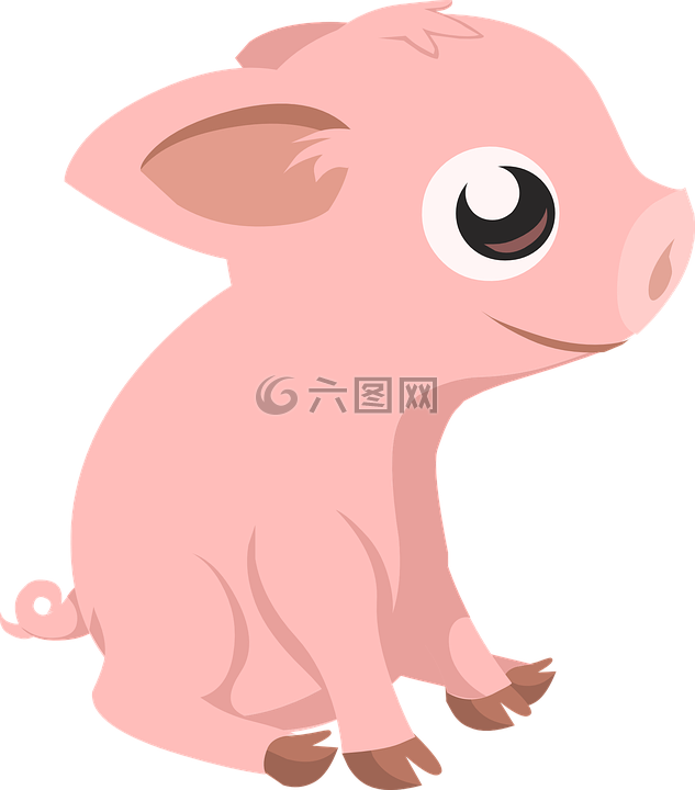 豬,仔豬,農(nóng)場